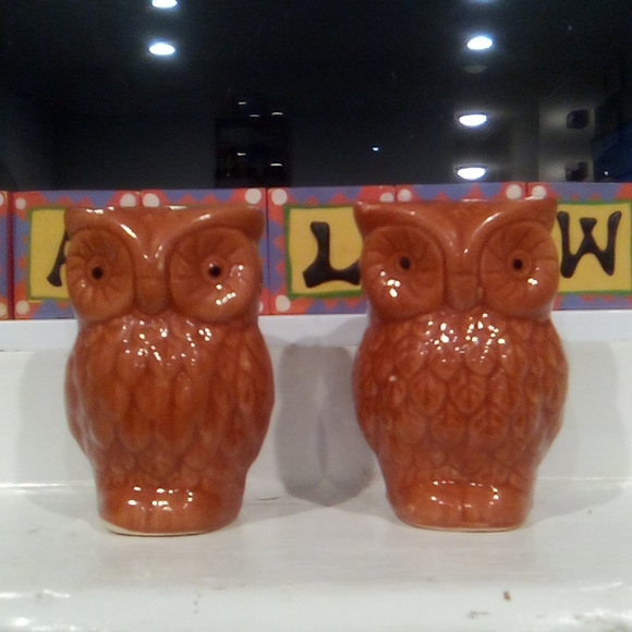 Glitter Sparkle Owl Dish and Retro Vintage Style Shakers - Picture 10 of 15